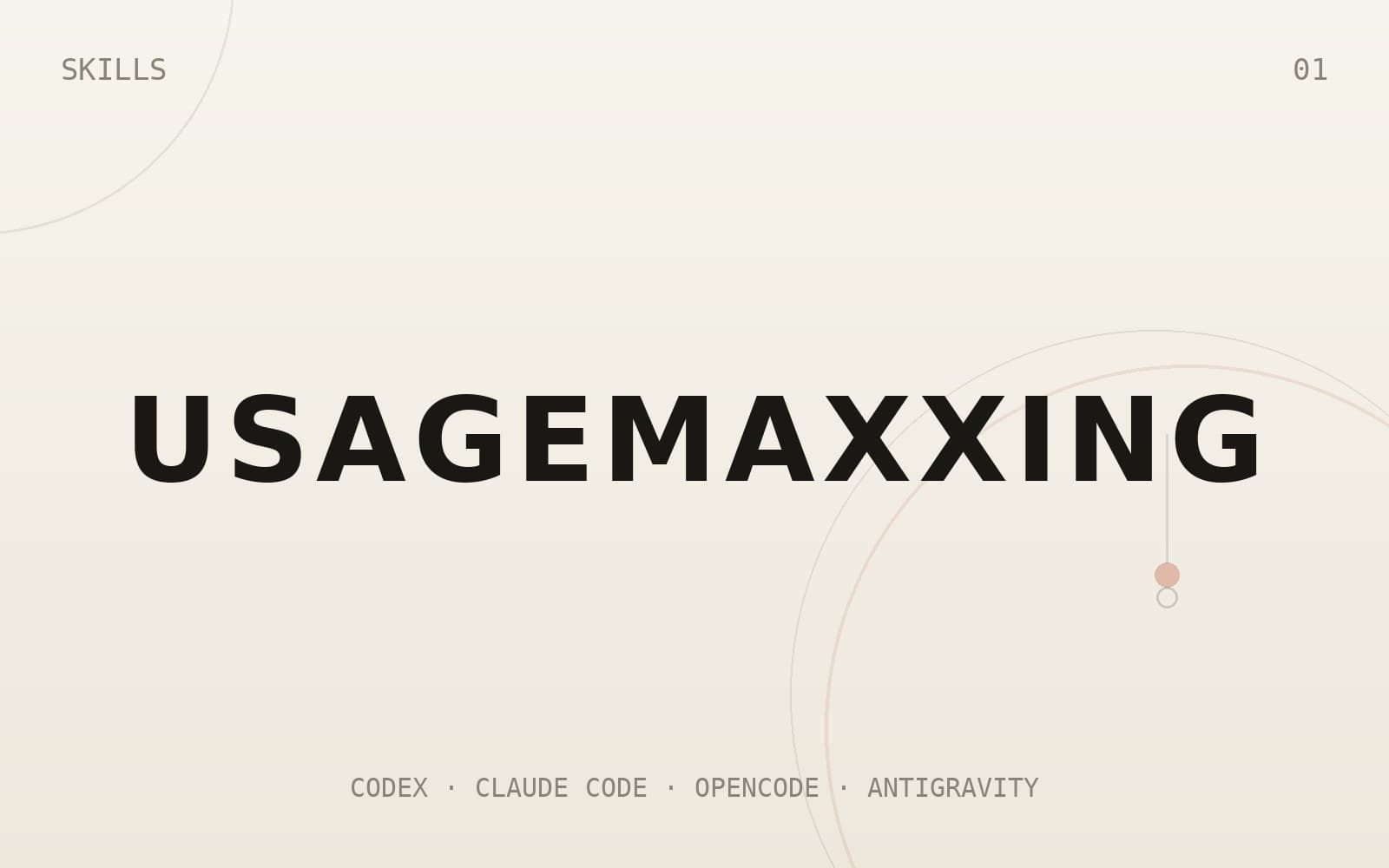 USAGEMAXXING thumbnail